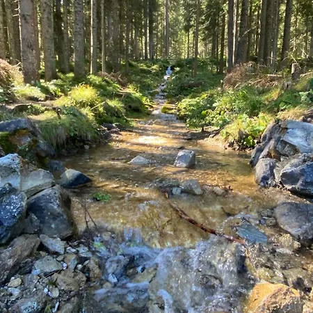 Design Nellere Ii Appartement Padola